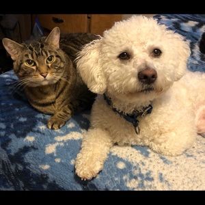 Meet your Posher, Sally